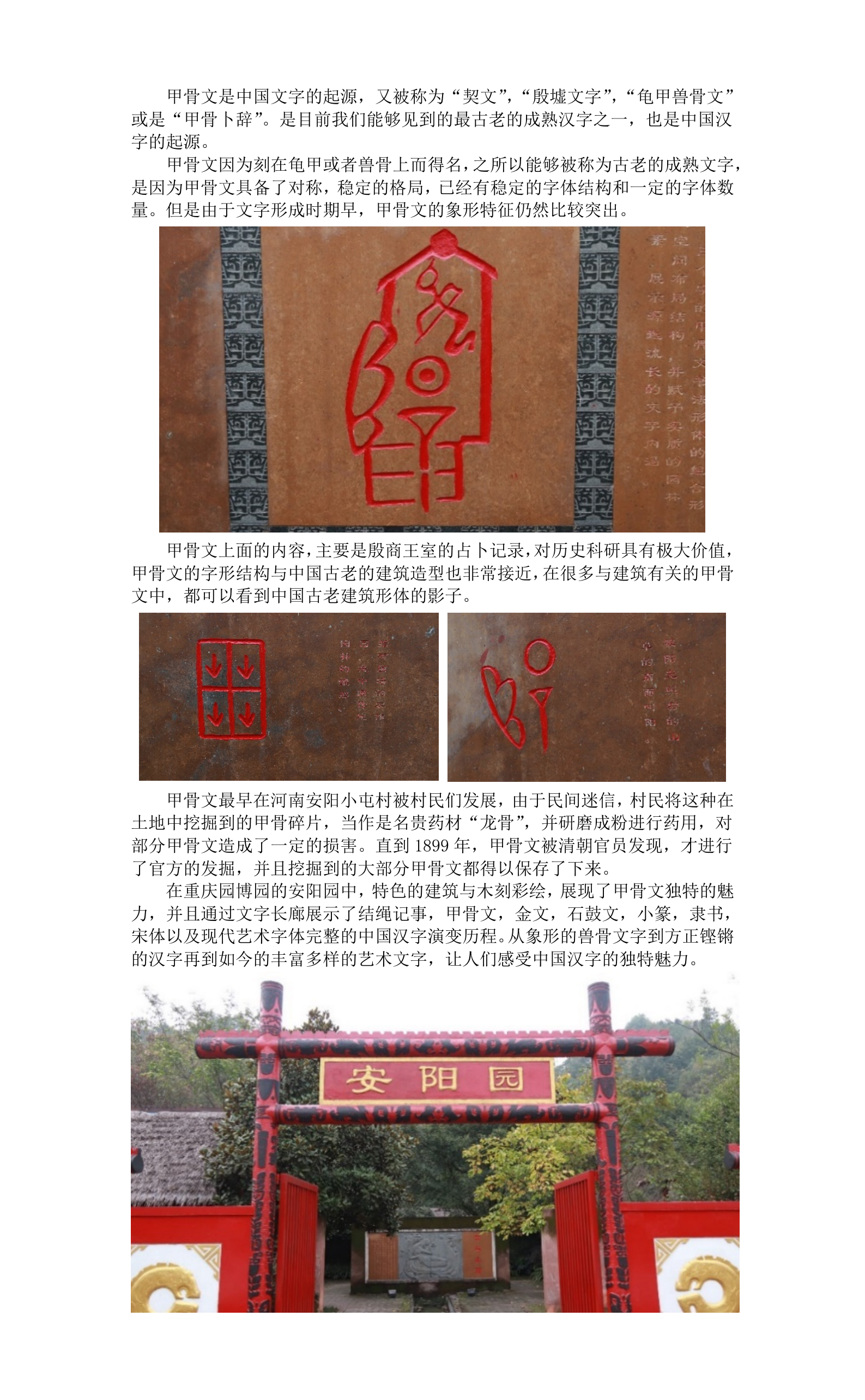 龟甲兽骨之上的历史痕迹_科普天地_重庆园博园