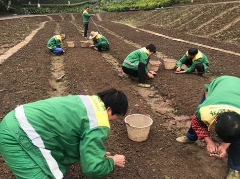 QQ图片20210325085439